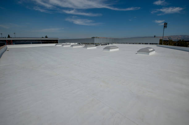 Best Roof Coating and Sealing  in Fort Clark Springs, TX